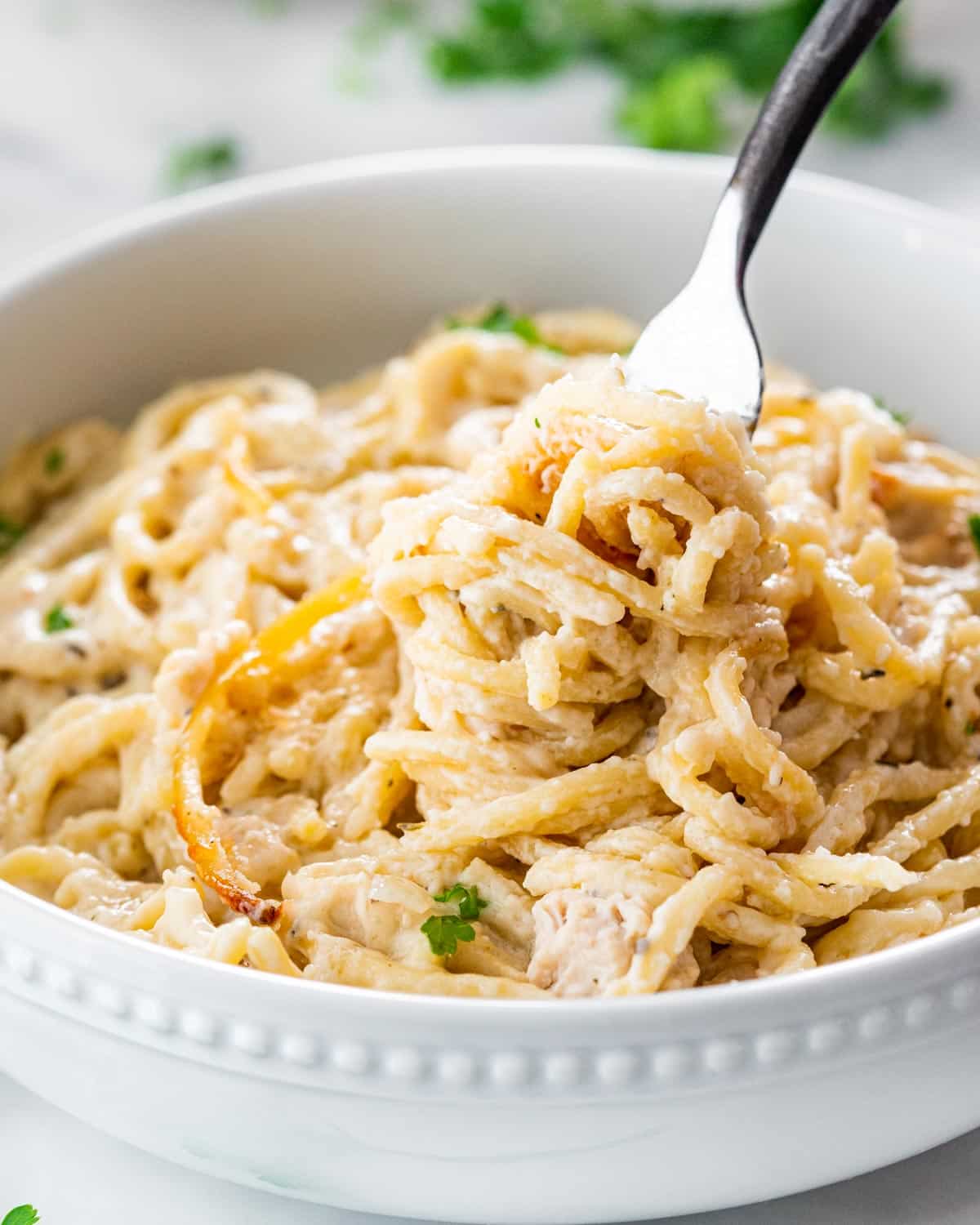Tetrazzini Spaghetti